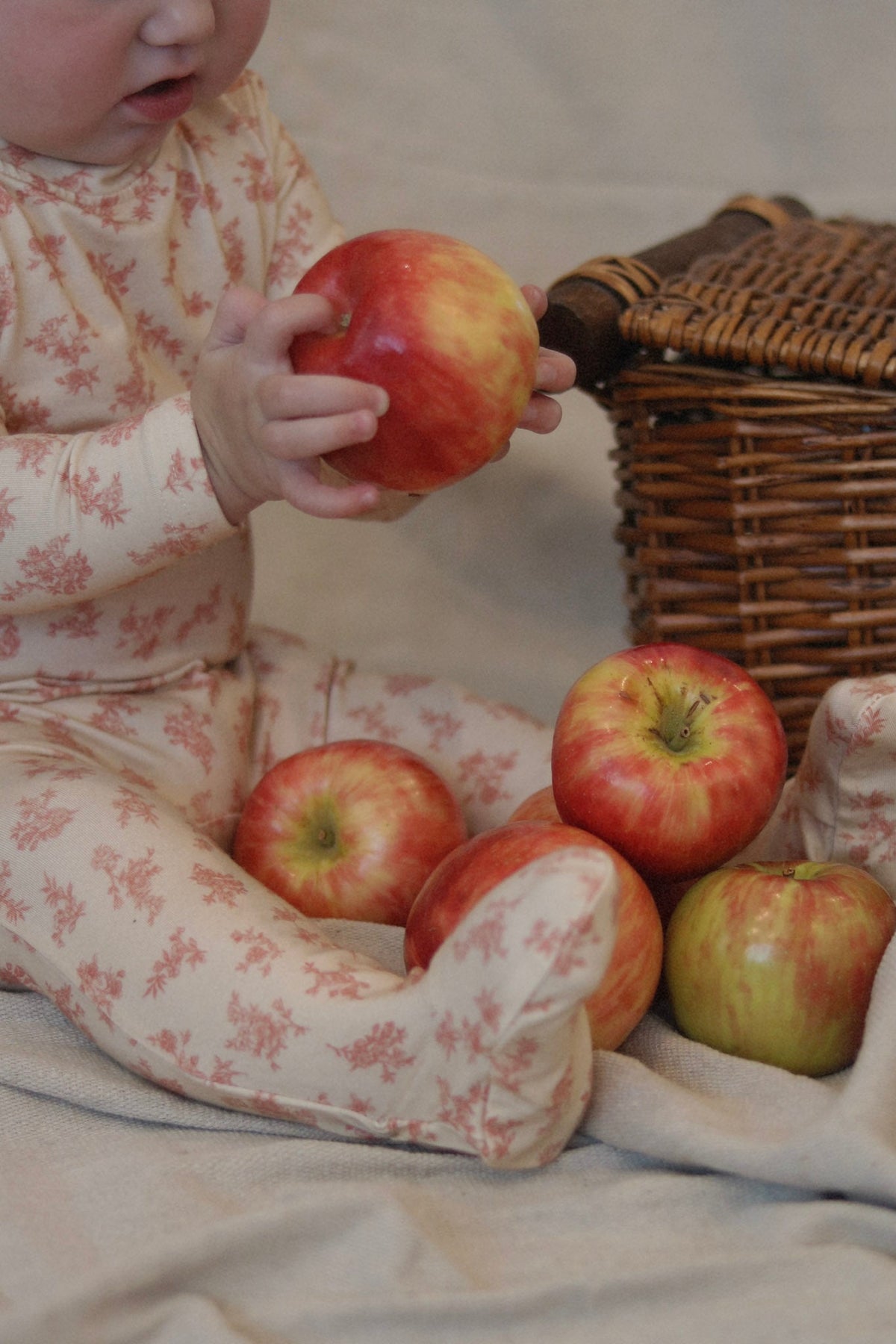 Rose Toile