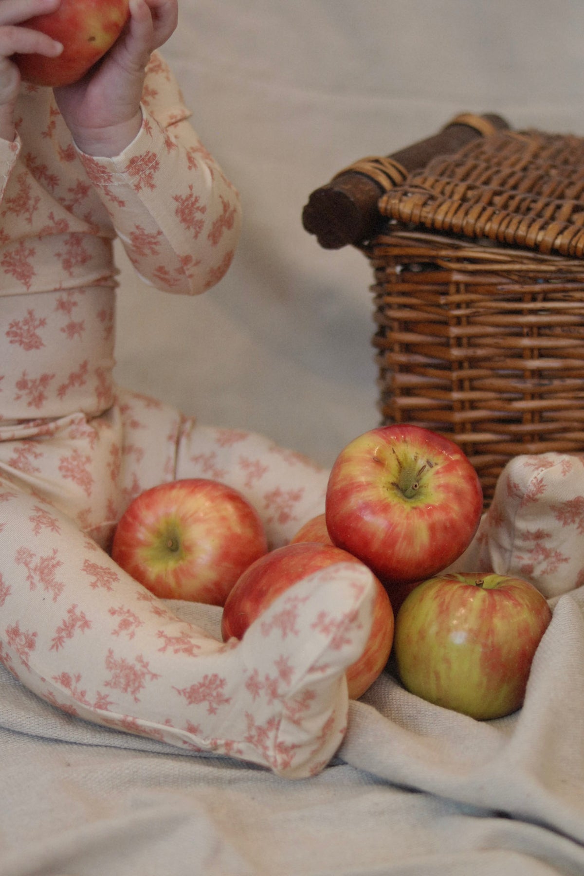 Rose Toile Footie